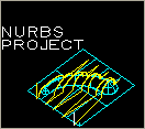 Nurbs-Project_Icon